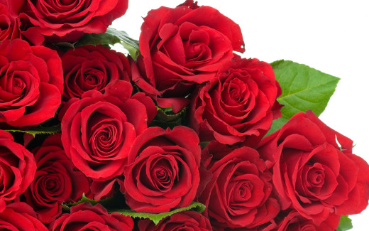 495347 (a): :2560x1600